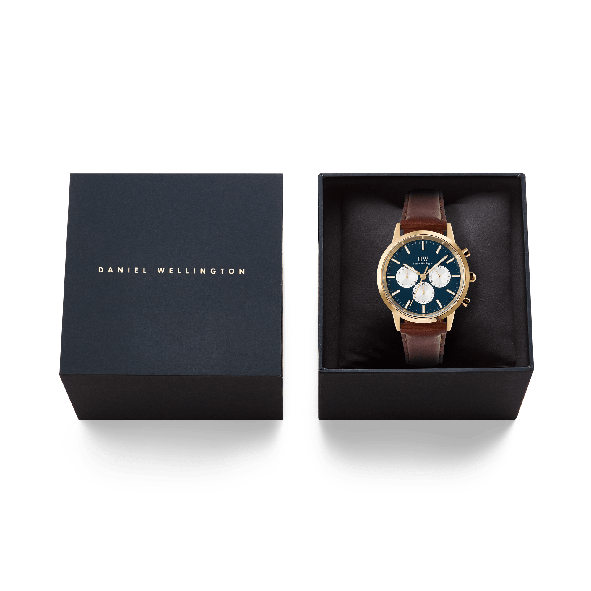 Iconic Chronograph St Mawes Arctic Panda Gold