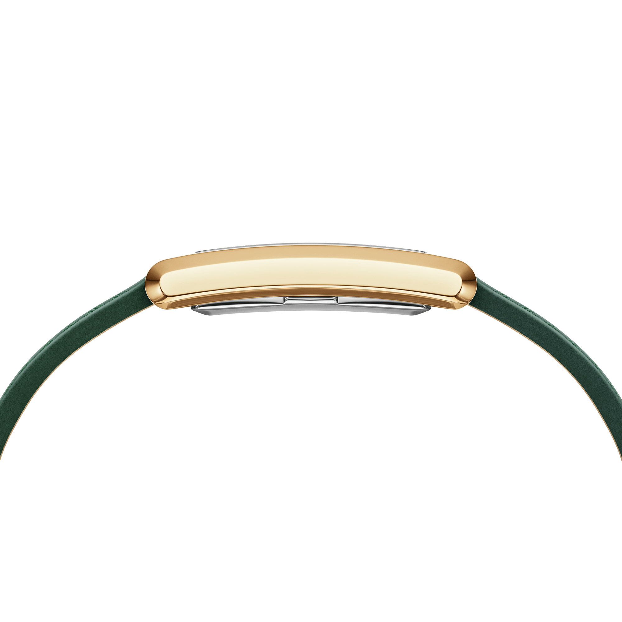 Bound Crocodile Champagne Sunray Gold