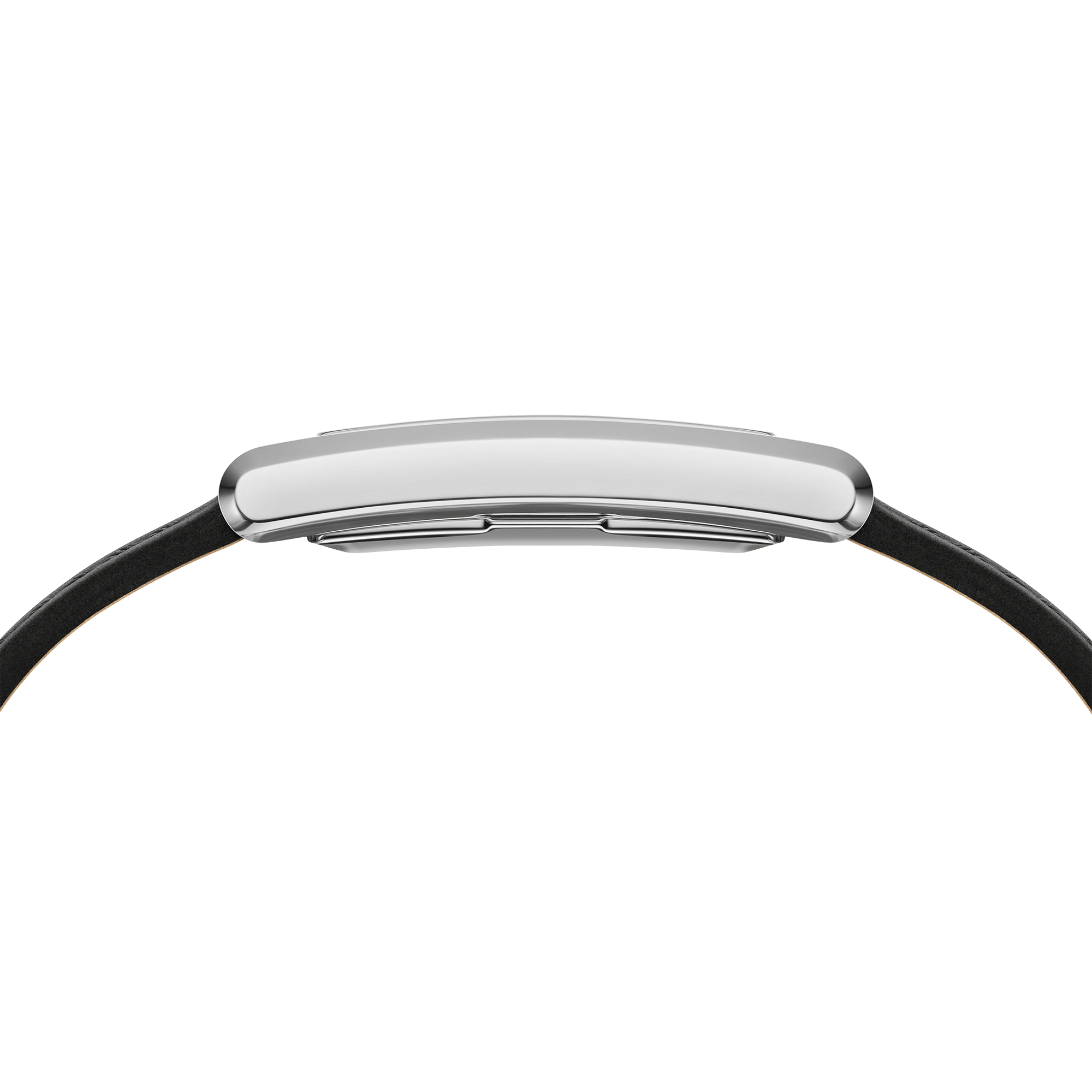 Bound Black Crocodile Silver