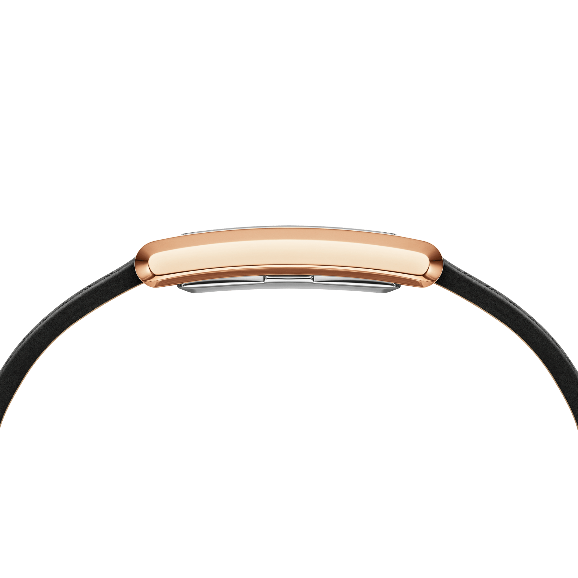 Bound Black Crocodile Rose Gold